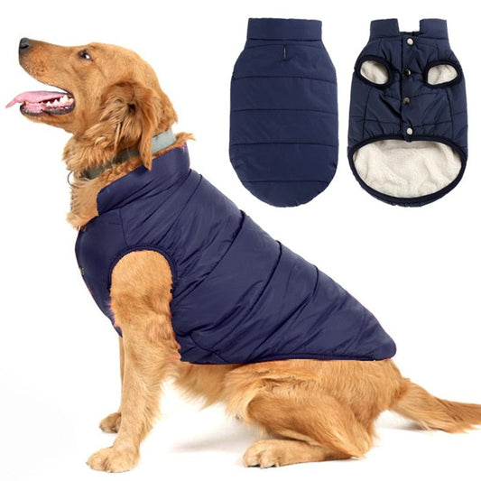 Colete Pet Steve™ | Roupa Para Cachorro - Caulog Store