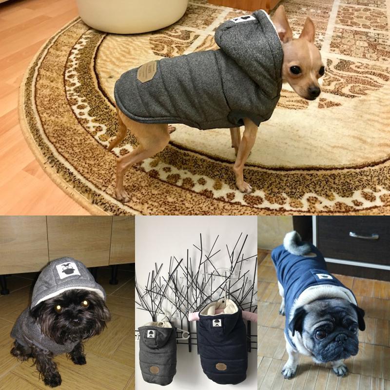 Colete de Inverno para Cachorros | Gentleman - Caulog Store