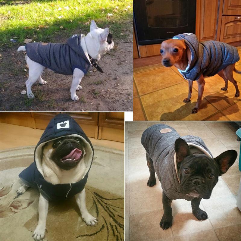 Colete de Inverno para Cachorros | Gentleman - Caulog Store