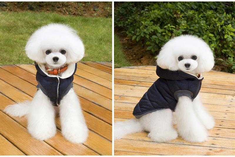 Colete de Inverno para Cachorros | Gentleman - Caulog Store