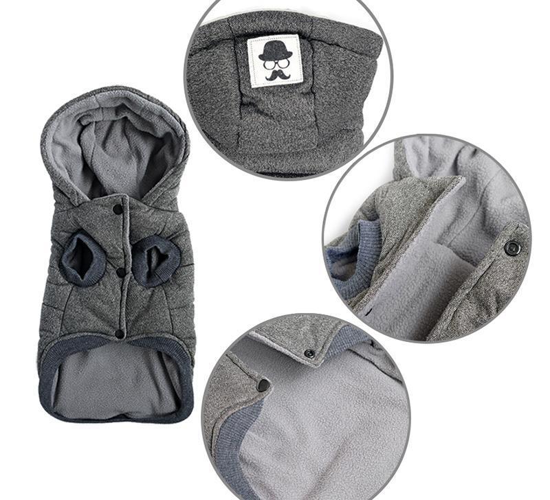 Colete de Inverno para Cachorros | Gentleman - Caulog Store